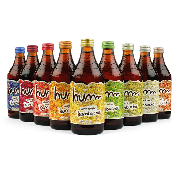 Product photography example featuring a group of kombucha beverage bottles lined up in a row