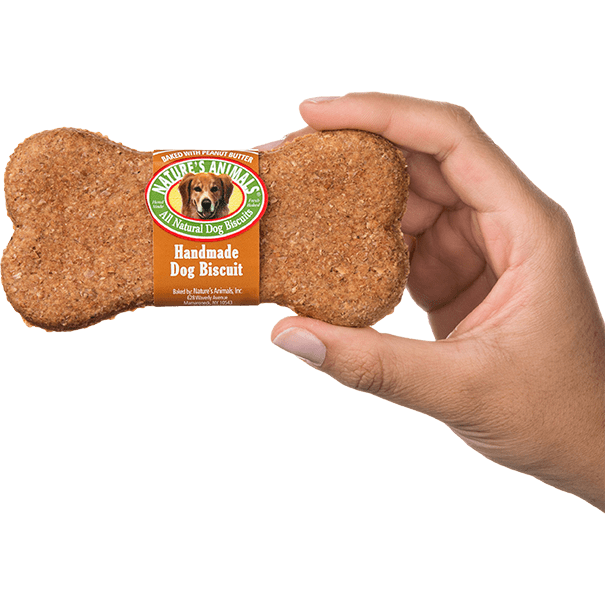 Dog treat with hand model Dog treat with hand model