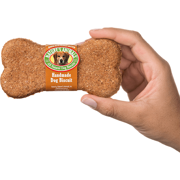 Dog treat with hand model